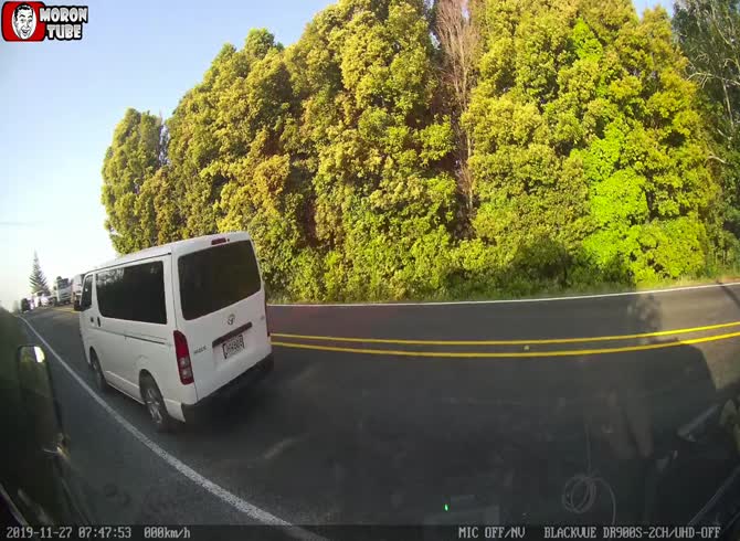 Video :A cow in New Zealand creates a terrible traffic bottleneck
